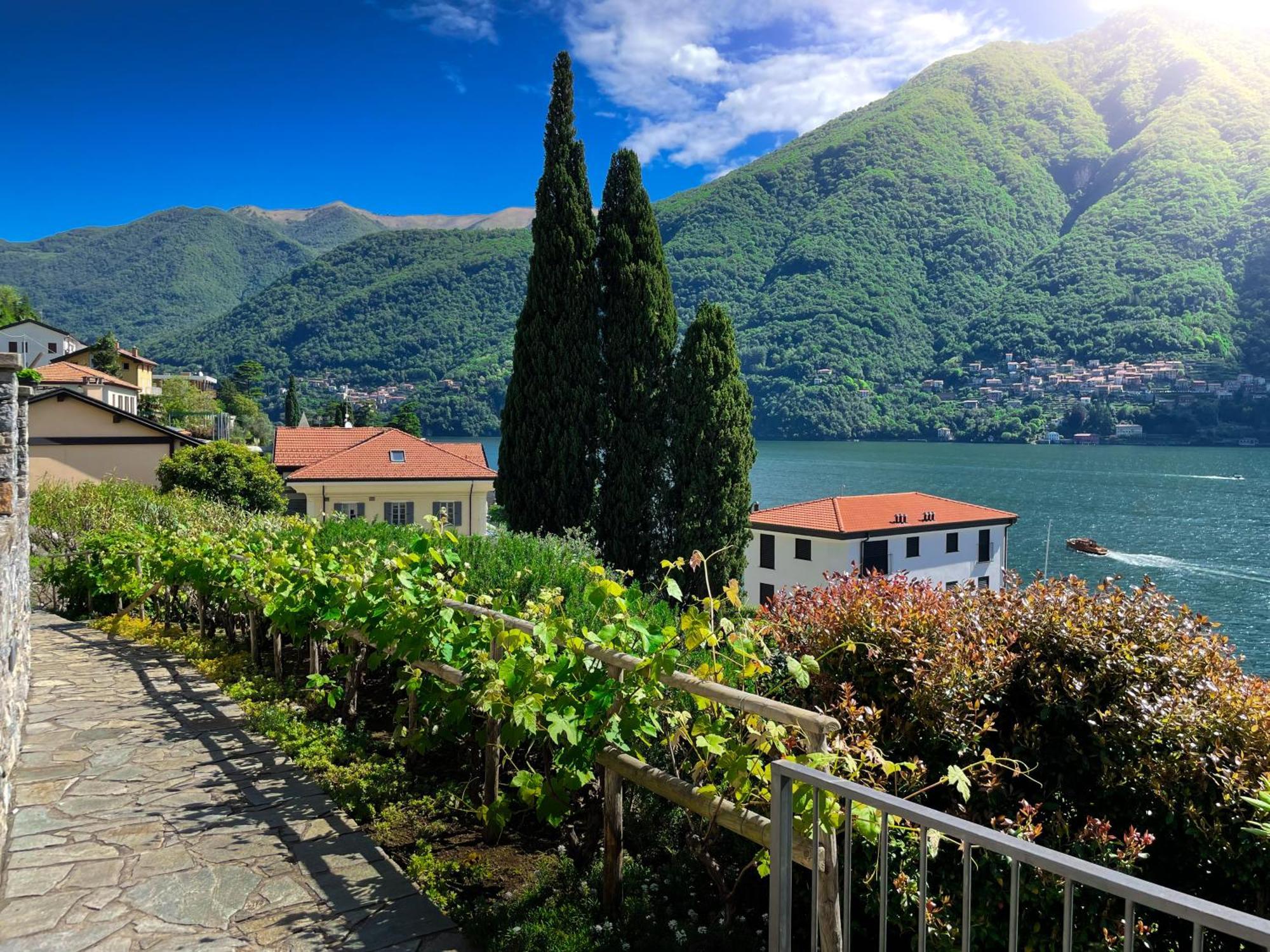 Villa Luminosa Laglio - Private Parking, Garden Exterior foto